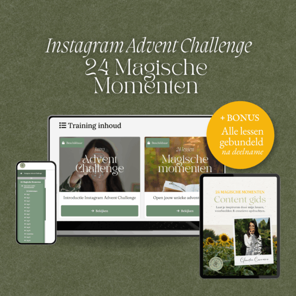 Instagram Reset bundel: Zichtbaar in 2026 - Afbeelding 4