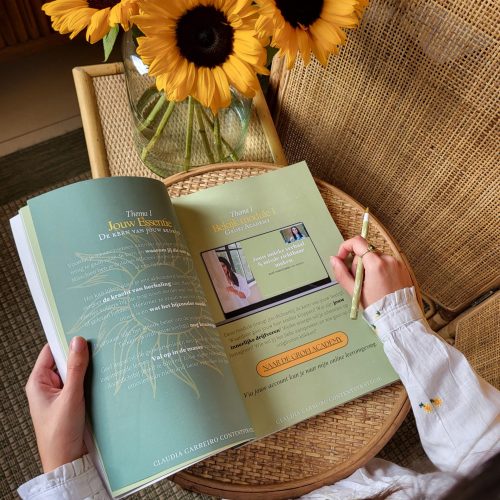 Instagram groei plan werkboek nieuw – 2024 versie Instagram groei plan werkboek nieuw - 2024 versie