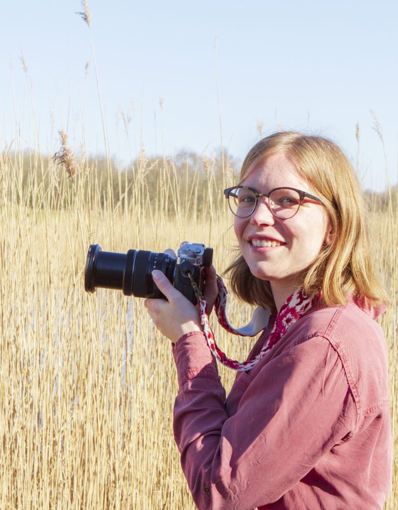 Thessa Engberts - Zaaien en Oogsten